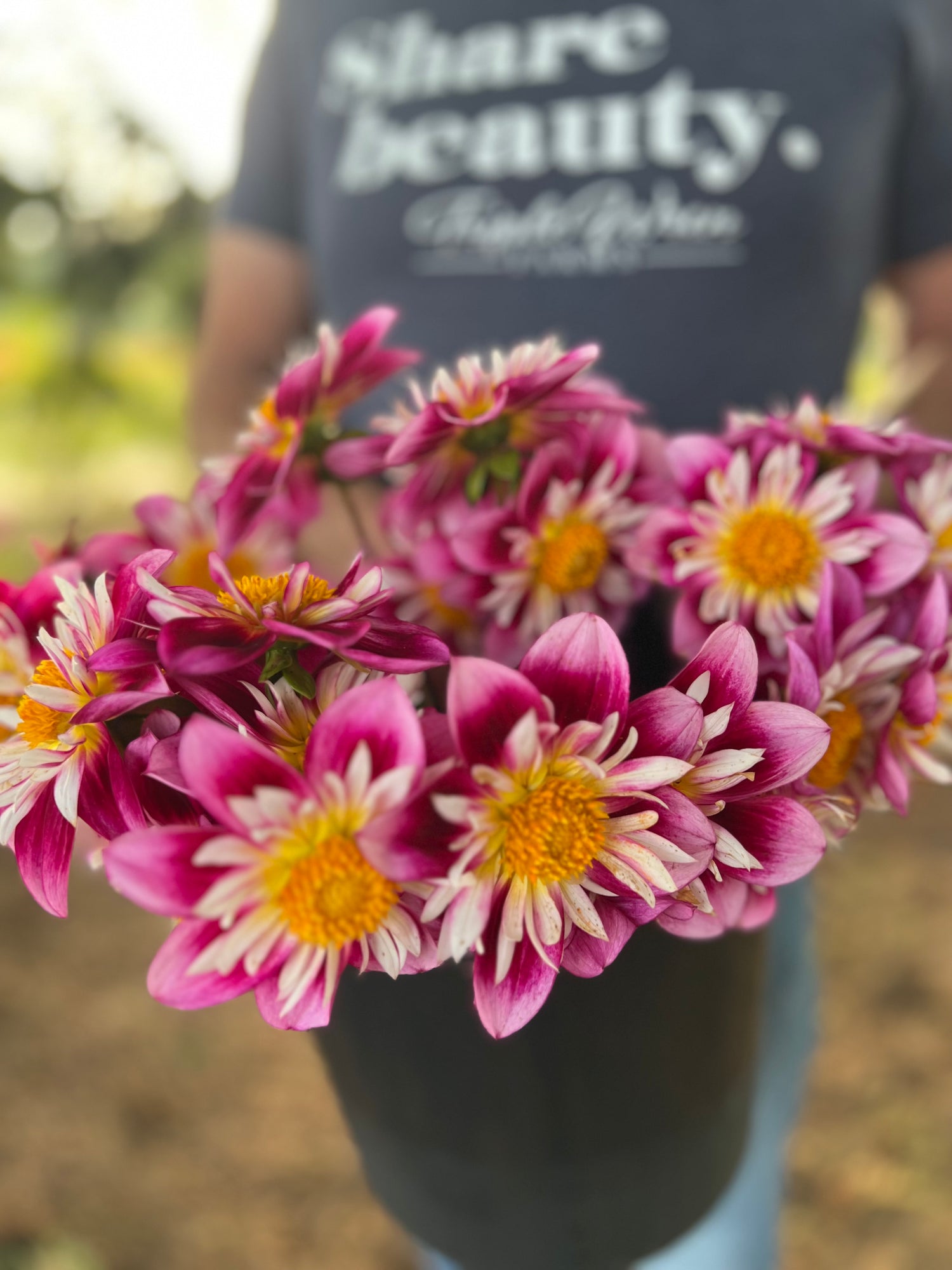 Bloomquist Catalina dahlia tuber from Triple Wren Farms