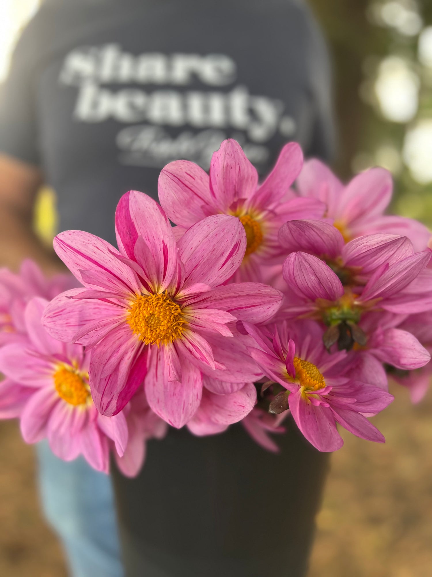 Bloomquist Fruity Drink dahlia tubers from Triple Wren Farms