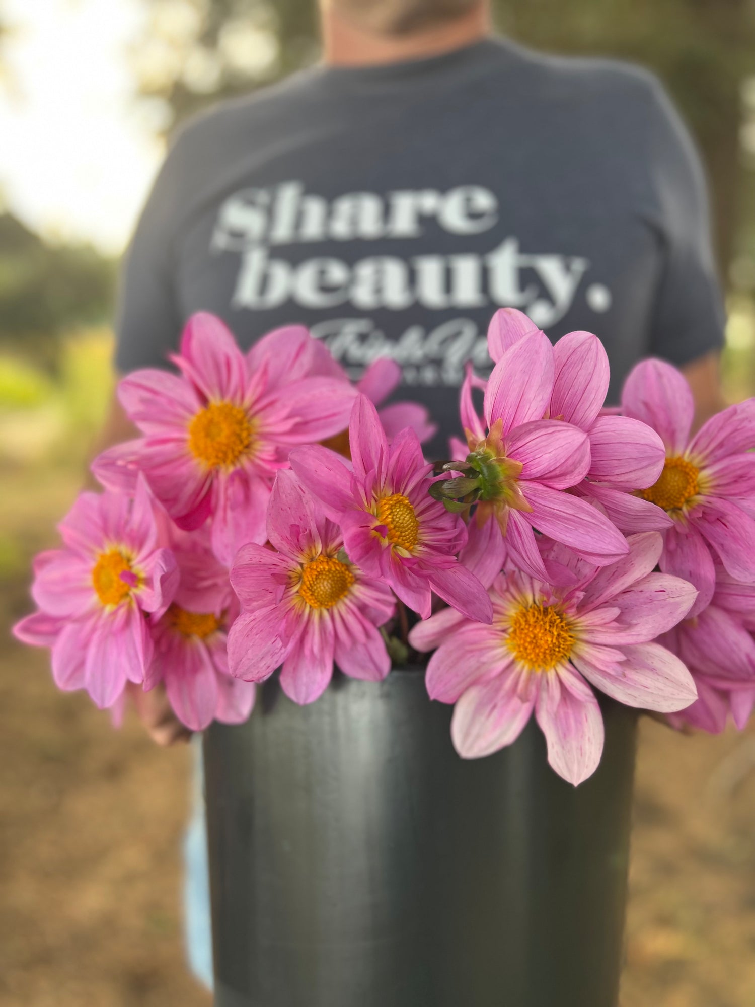 Pink and Pale pink and Light Pink and Fuchsia and white dahlia tubers Bloomquist Fruity Drink from Triple Wren Farms