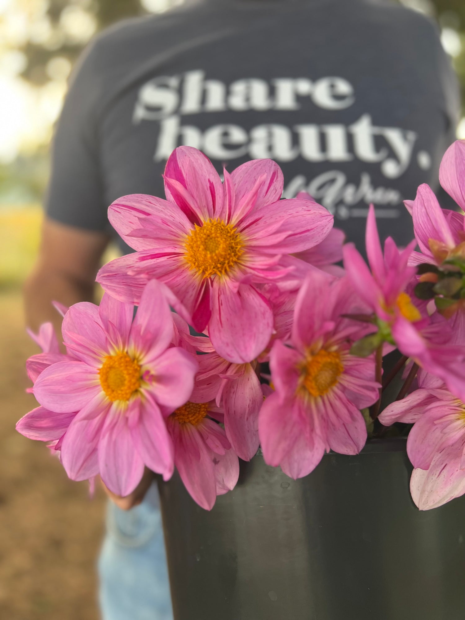 buy Bloomquist Fruity Drink dahlia tubers from Triple Wren Farms for your home garden