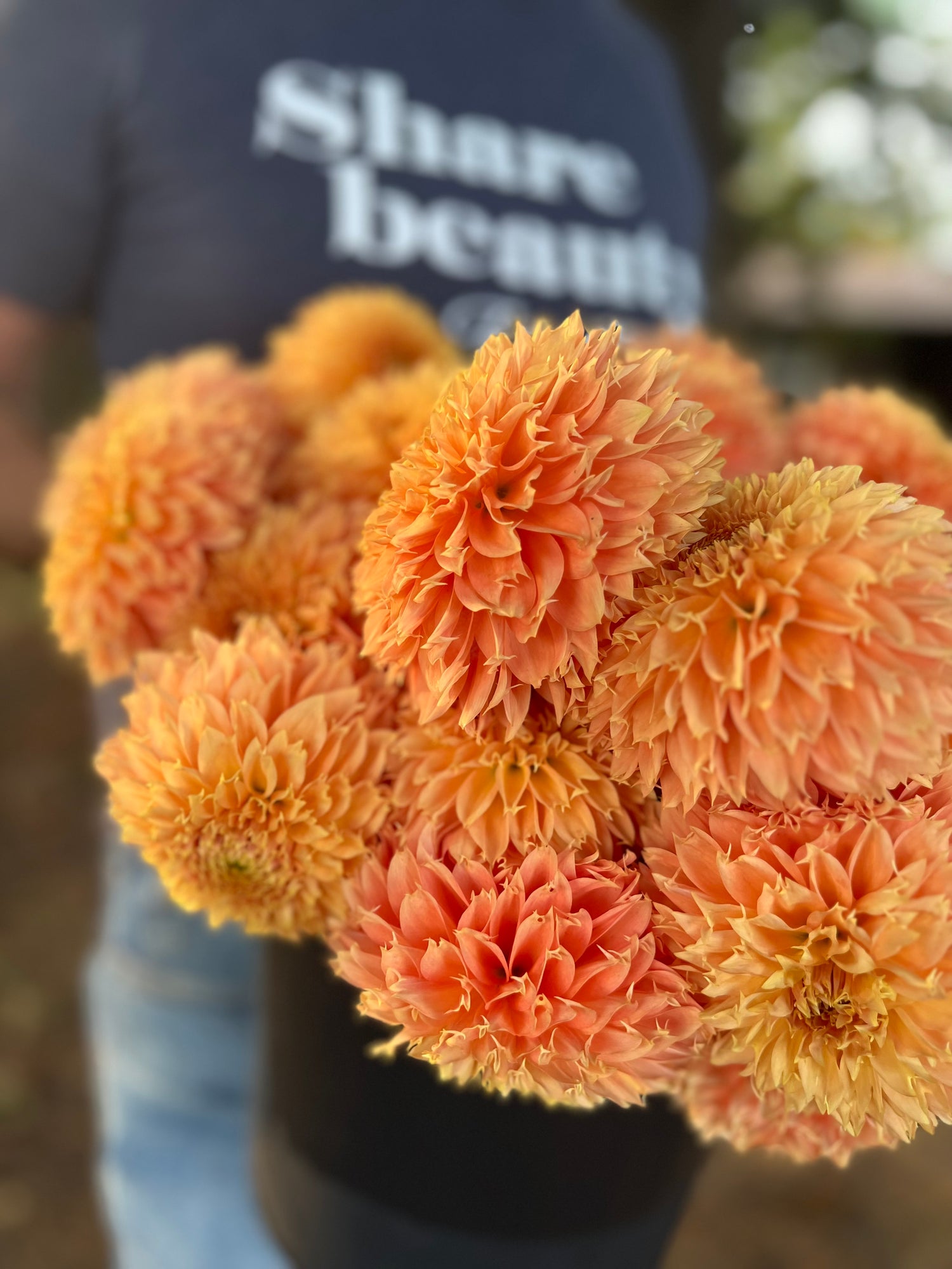 Buy Bloomquist Sue Dahlia Tubers from Triple Wren Farms for your home garden