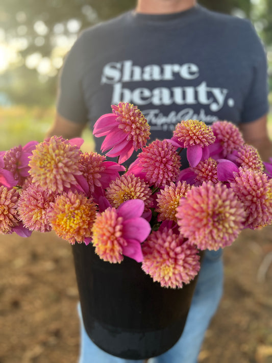 Bloomquist Ginnie dahlia tubers from Triple Wren Farms
