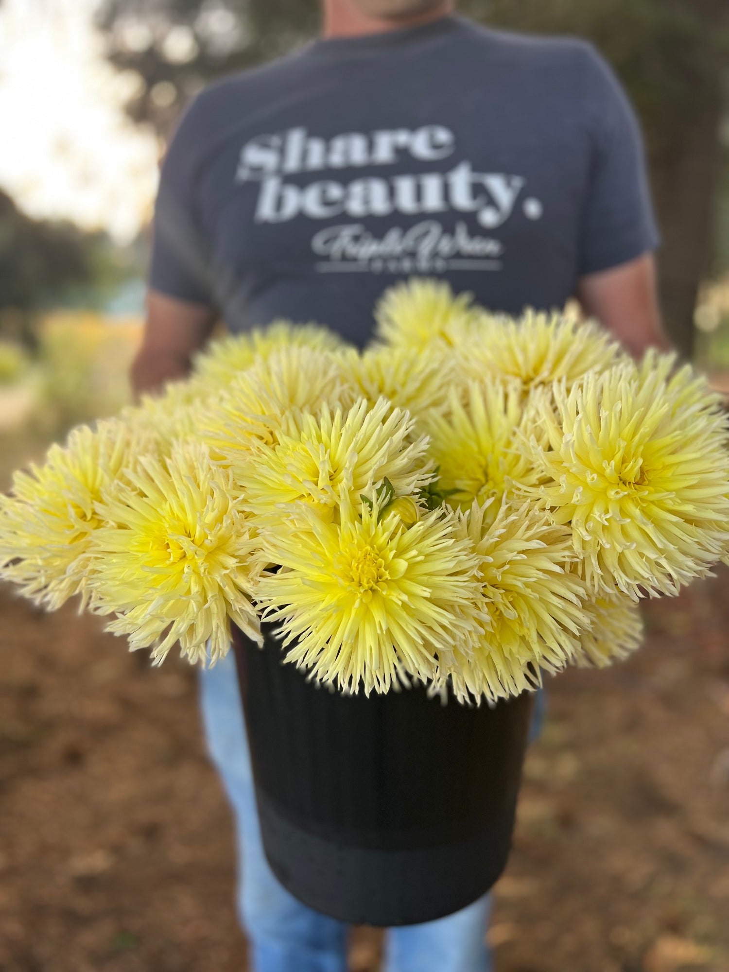 Bloomquist Lace dahlia tubers from Triple Wren Farms