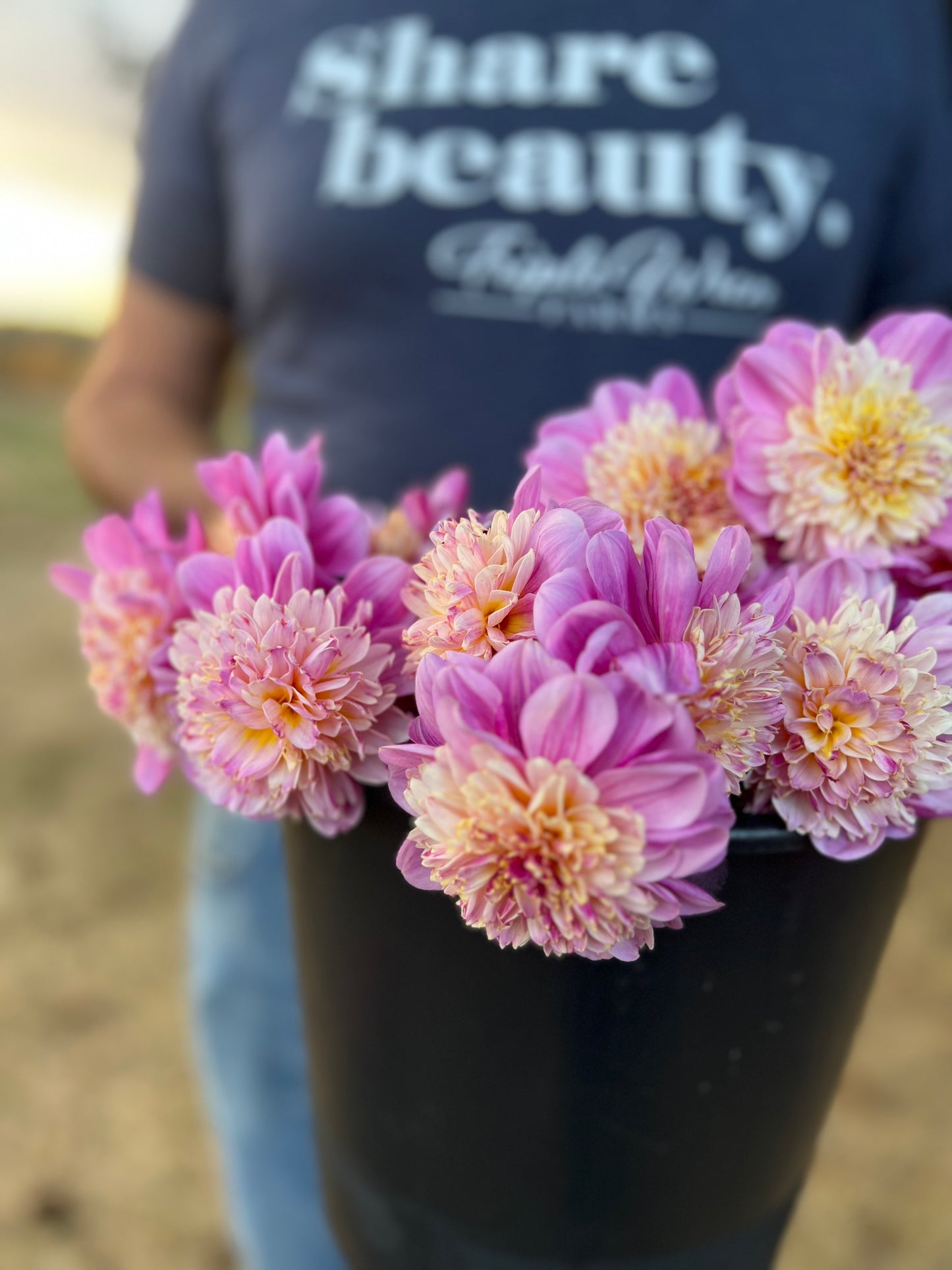 Take Off Dahlia Tuber