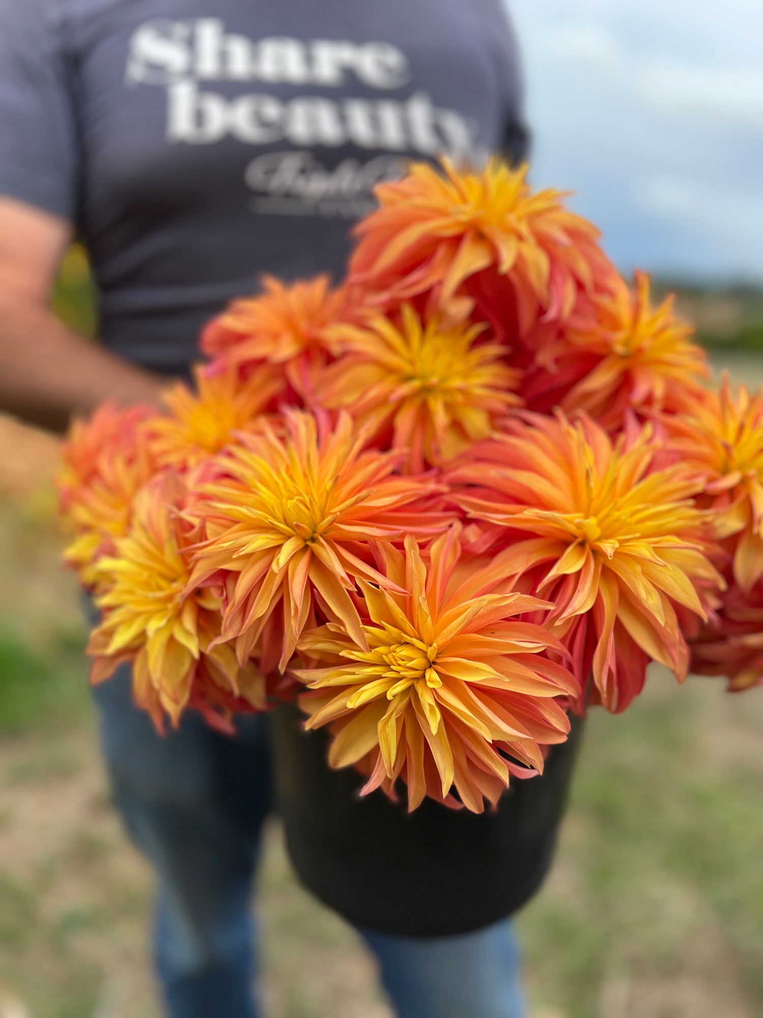 Bloomquist Pumpkin Dahlia Tubers from Triple Wren Farms