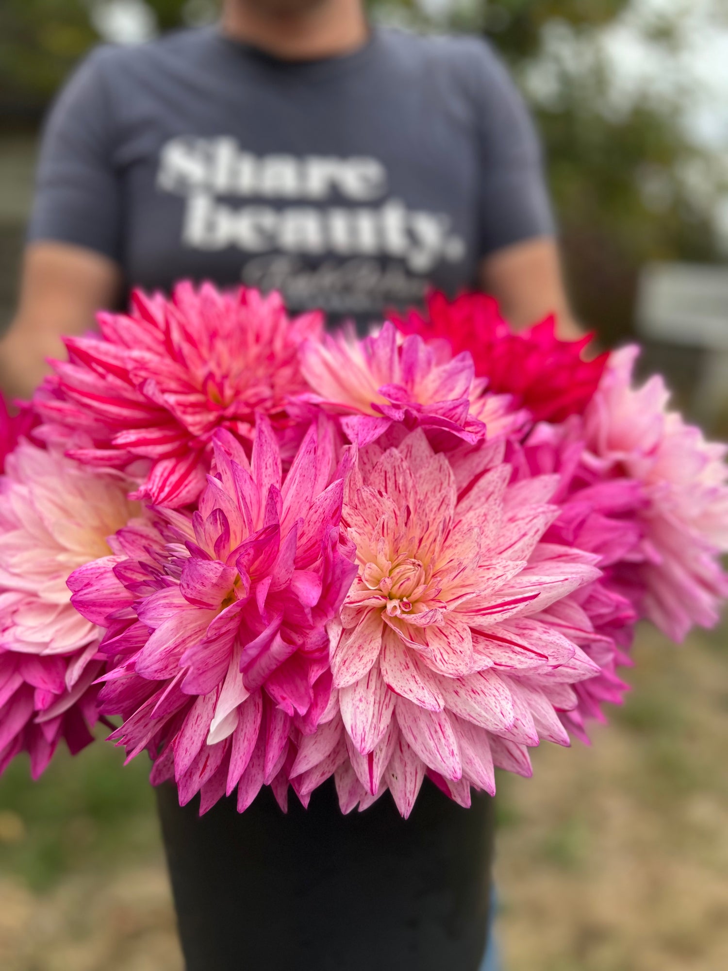 Bloomquist Minty dahlia tubers from Triple Wren Farms