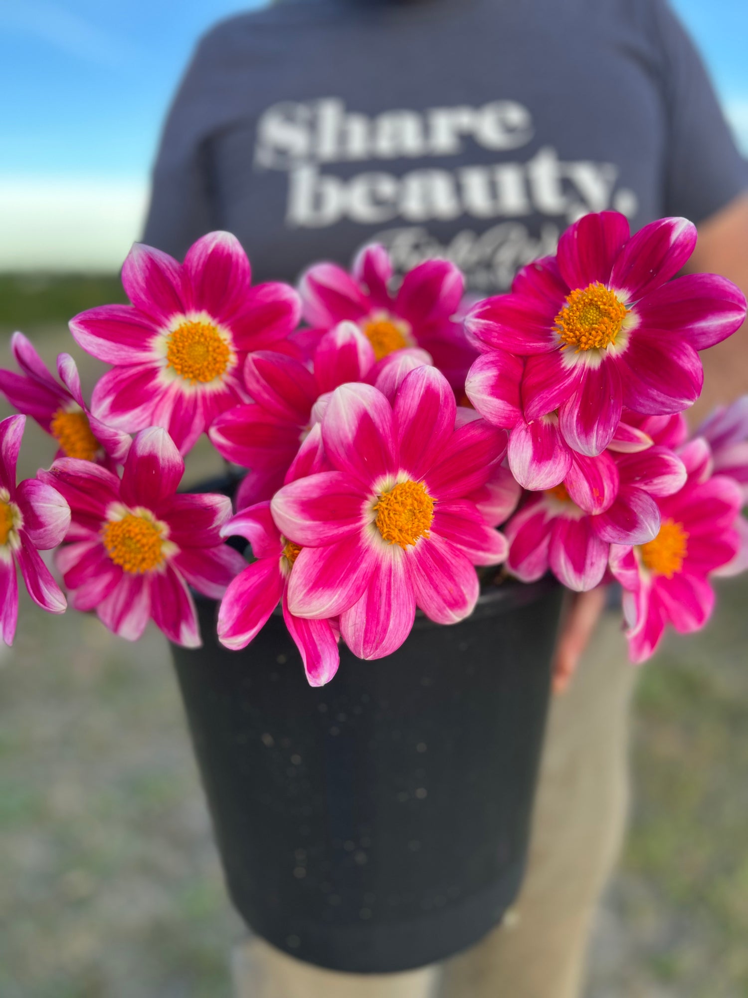 Bloomquist Awestruck dahlia tubers from Triple Wren Farms