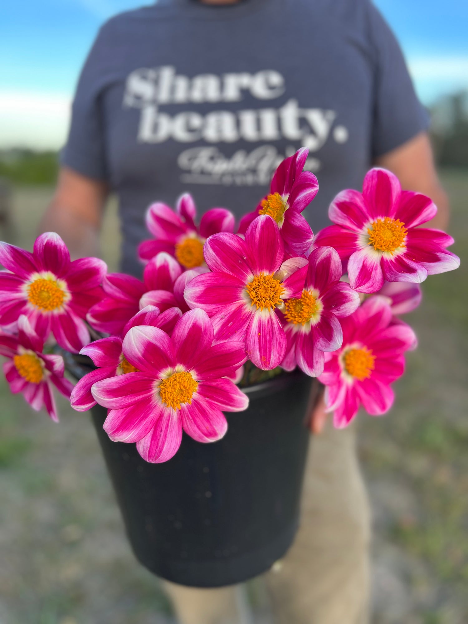 buy Bloomquist Awestruck dahlia tubers from Triple Wren Farms