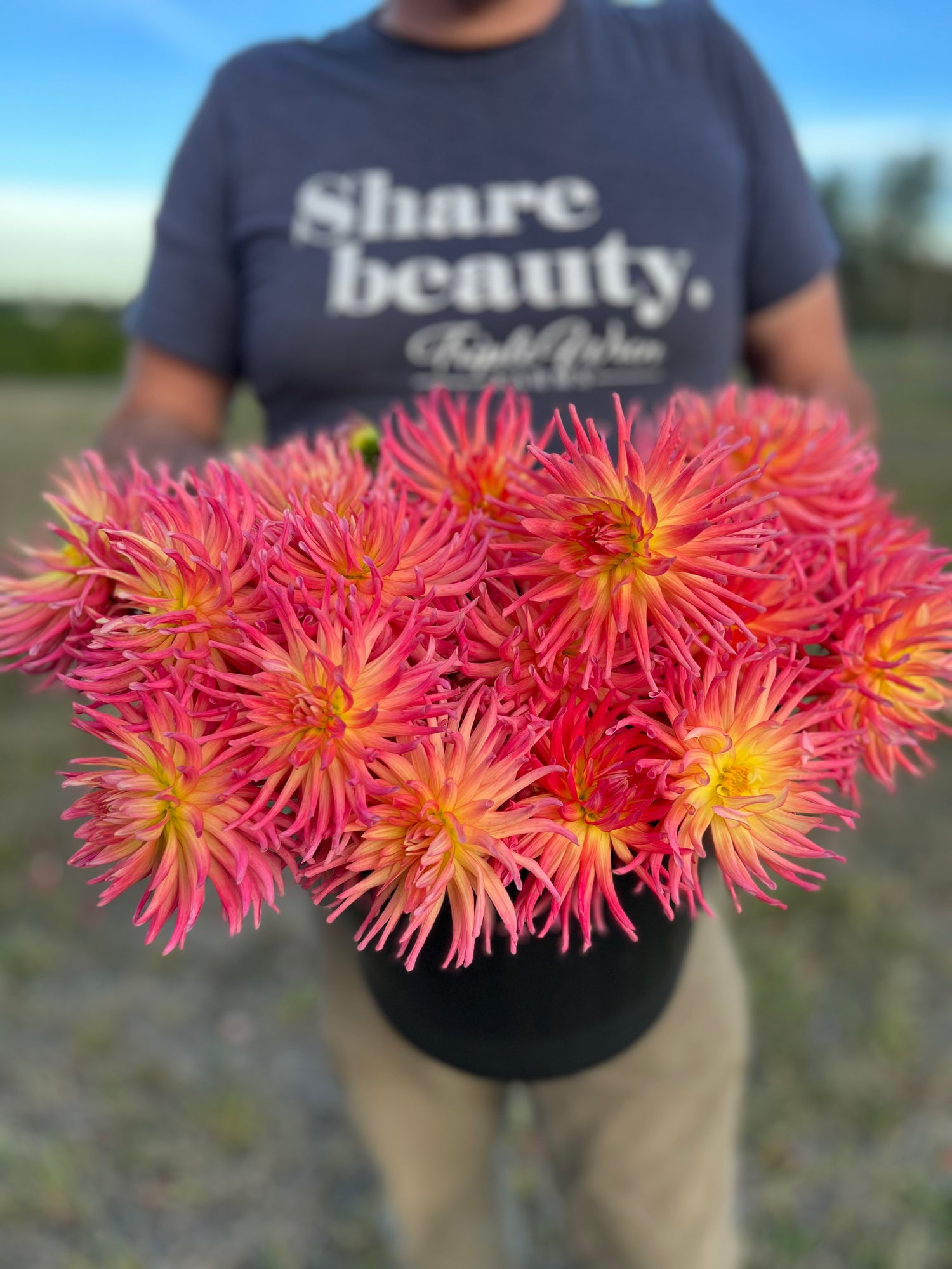 Bloomquist Bethany dahlia tubers from Triple Wren Farms