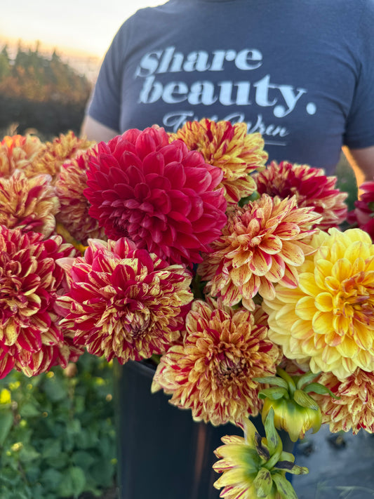 Ferncliff Firecracker Dahlia Tuber