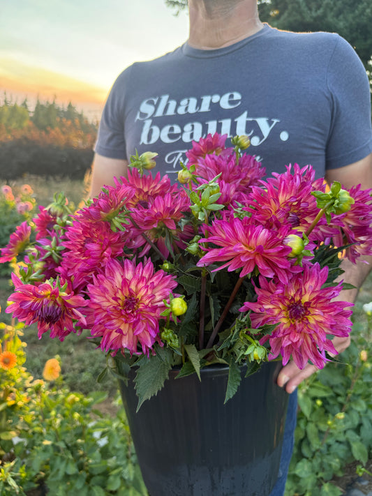 Bloomquist Magical Dahlia Tuber