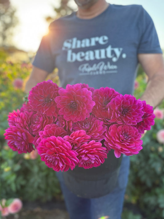 Sandia Nocturne Dahlia Tuber