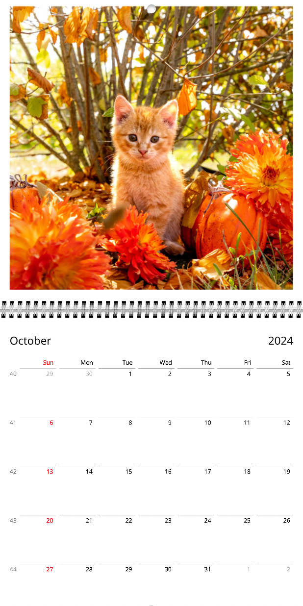 Dahlia Cats of Triple Wren Farms 2024 Wall Calendar (Free Shipping!)