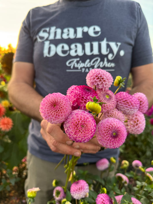 Buy Irish Miss Dahlia Tubers from Triple Wren Farms