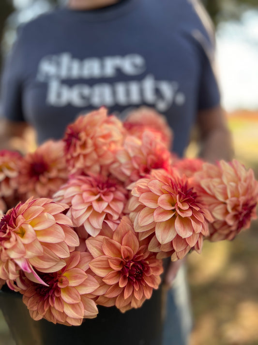 Light Orange, Deep Red,  and Peach KA's Mocha Katie Dahlia Tubers from Triple Wren Farms