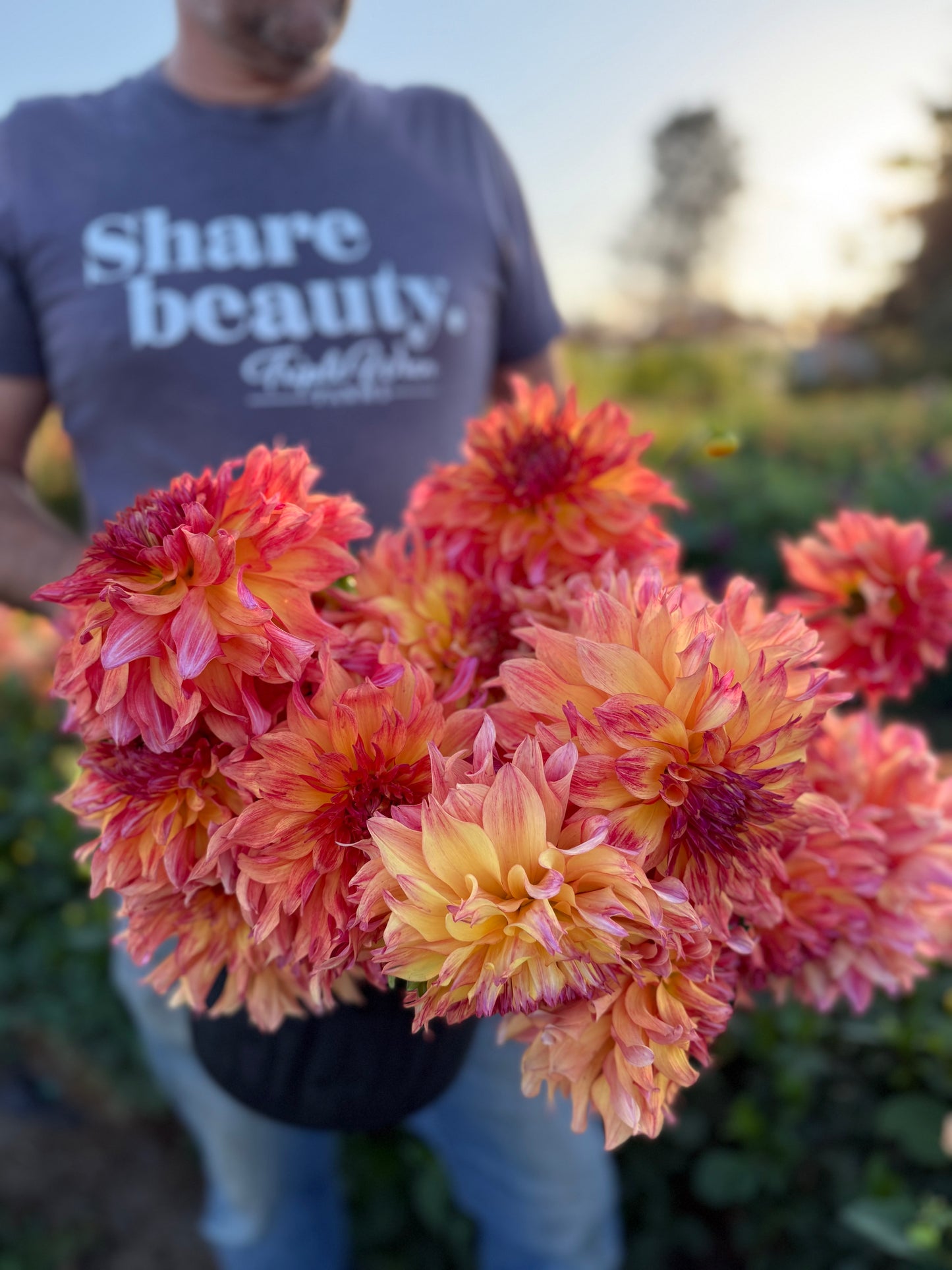 Ms Lisa Dahlia Tuber