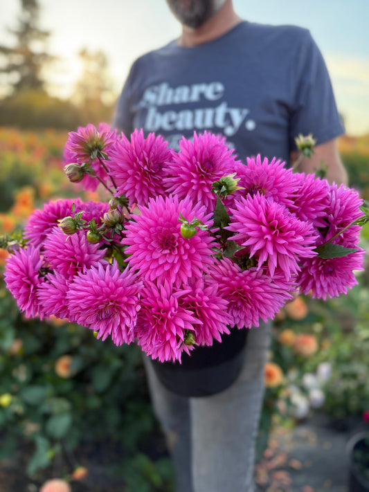 NY Nehem Dahlia Tuber