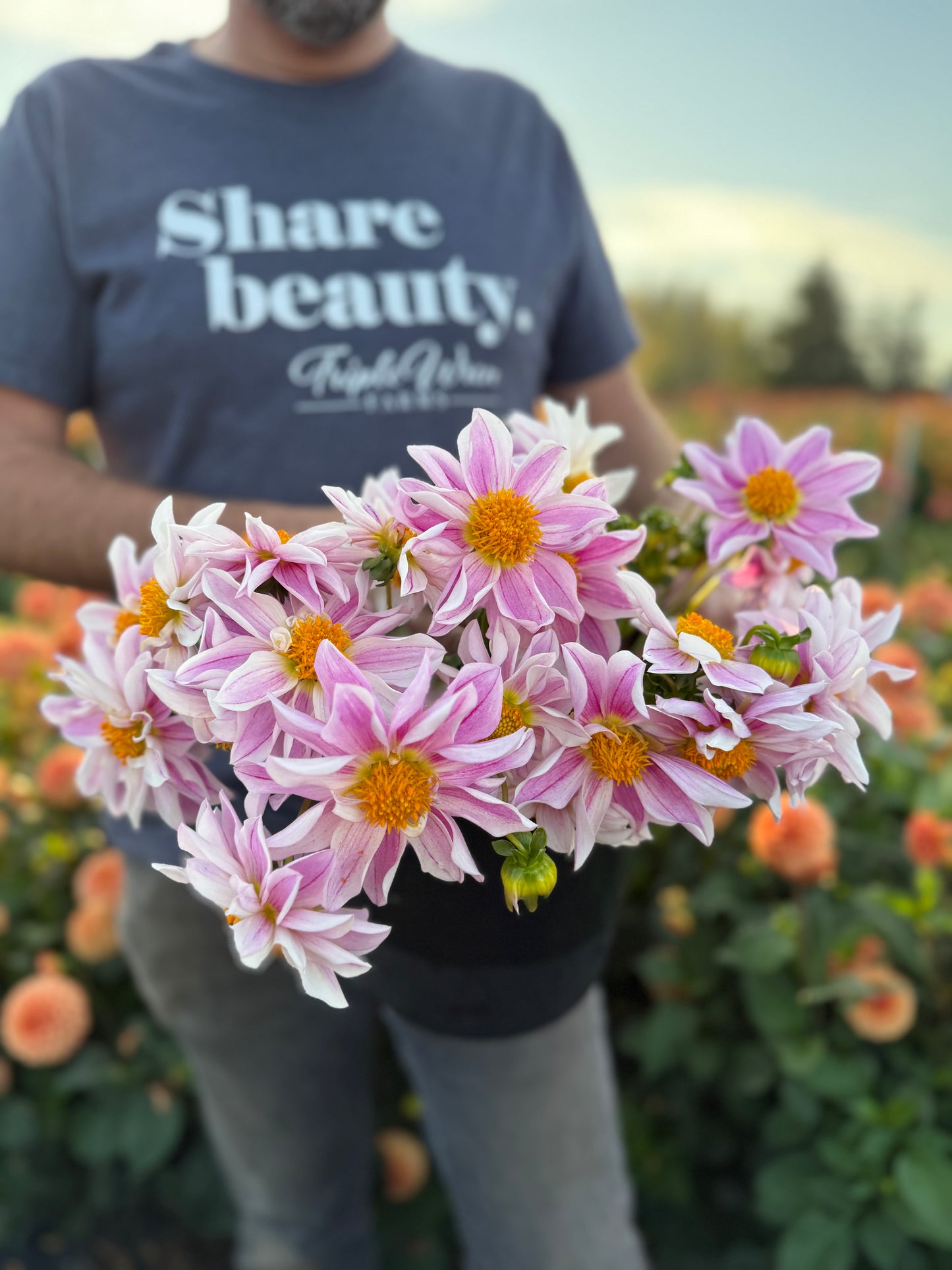 NY Papa Dahlia Tuber