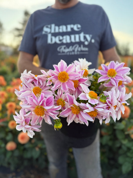 NY Papa Dahlia Tuber