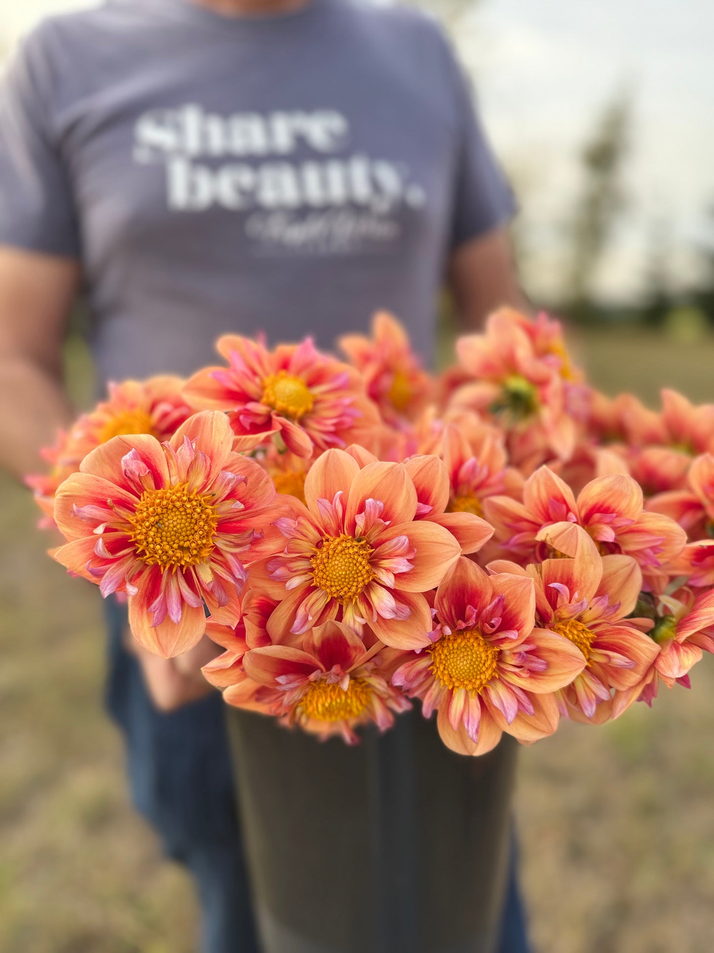 A person outdoors holding a large bouquet of orange and pink dahlia flowers with yellow centers. The person is wearing a blue t-shirt with the text 'share beauty.