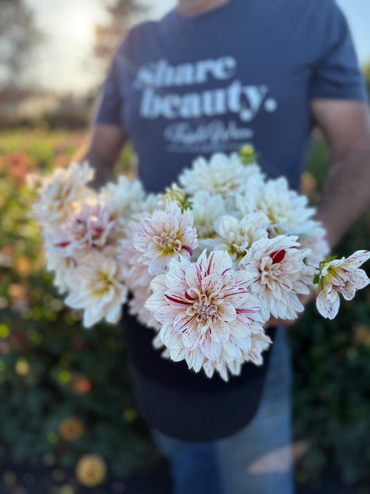 Picasso Dahlia Tuber