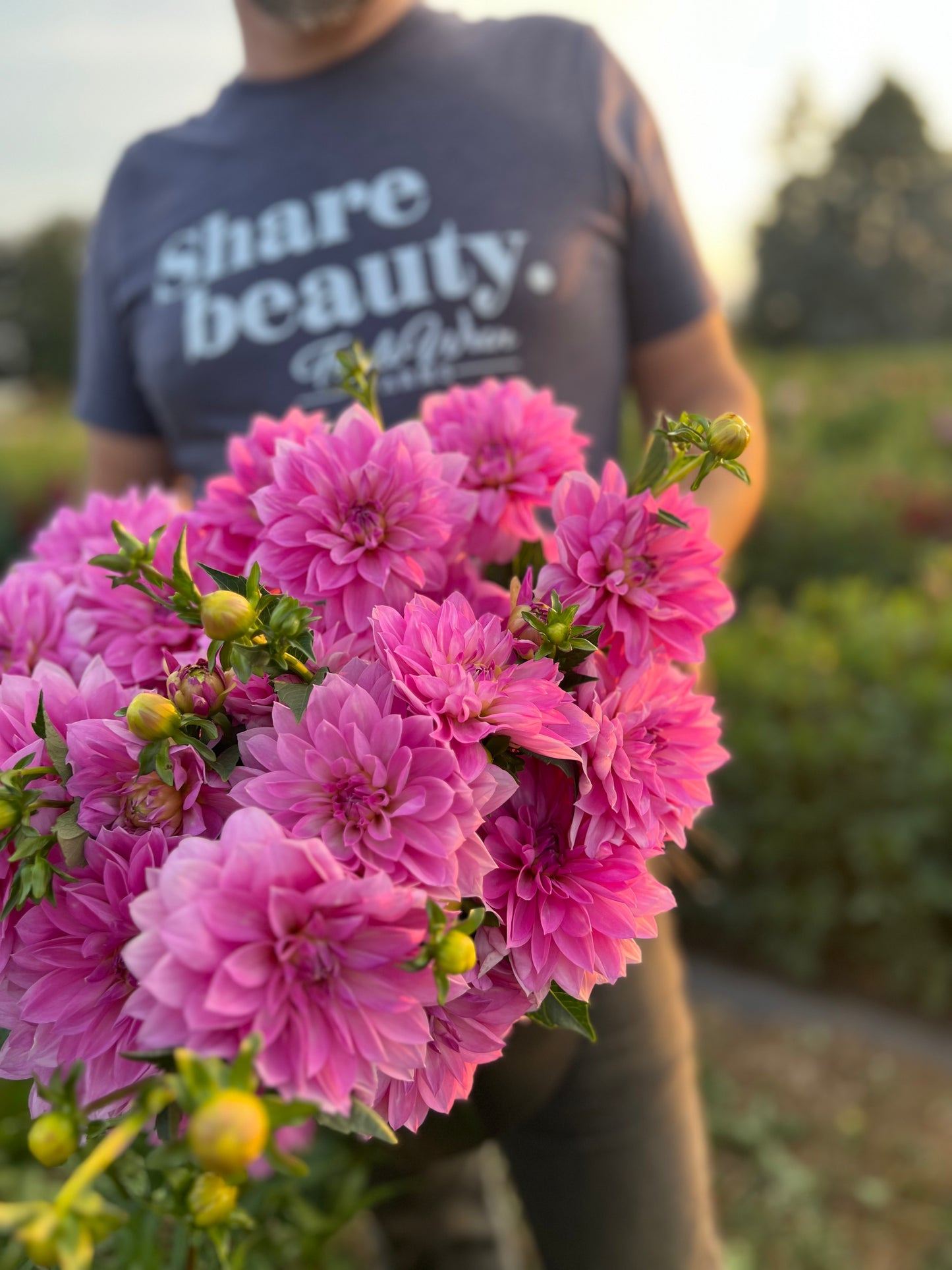 By Salish Sweet Laila dahlia tuber Triple Wren Farms