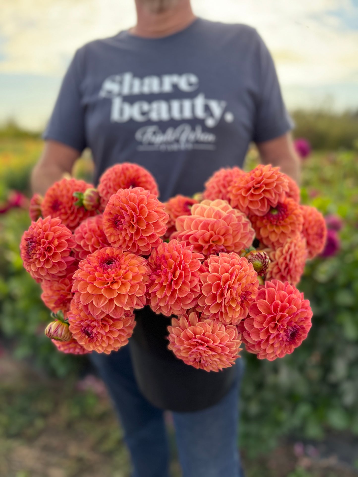 Robinhood Dahlia Tuber