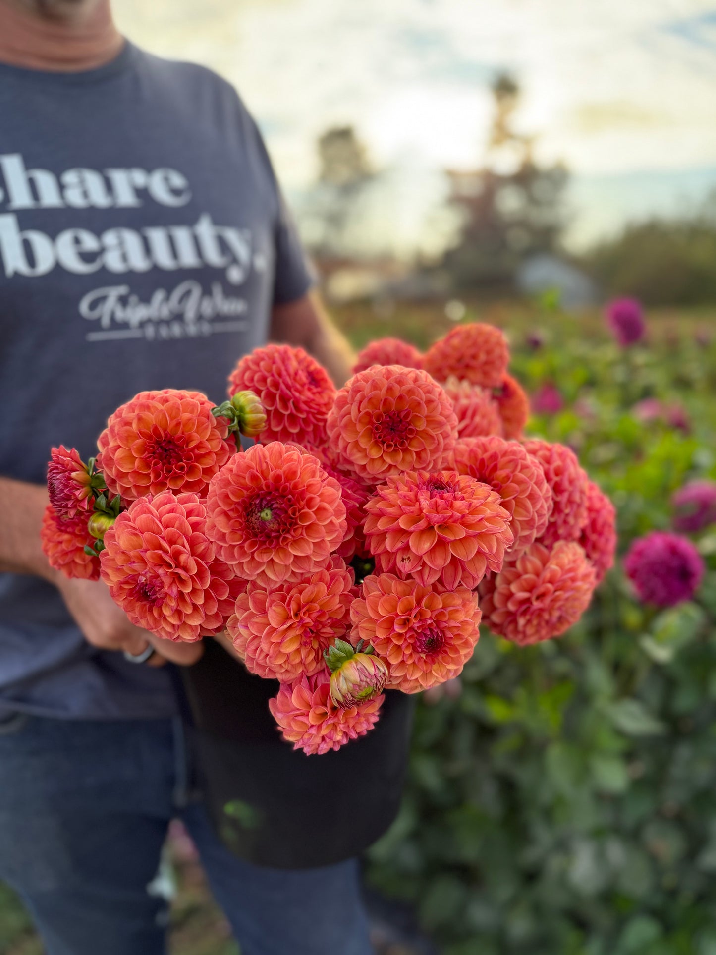 Robinhood Dahlia Tuber