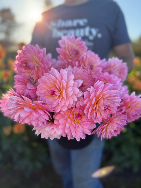 Ruthie G Dahlia Tuber