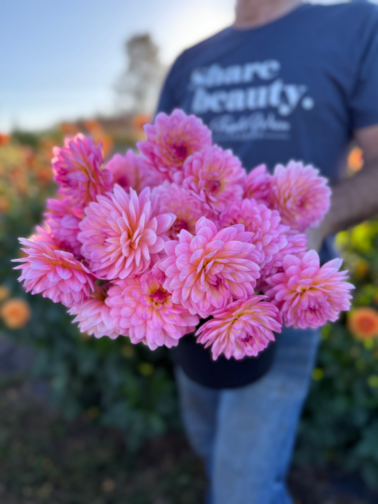 Ruthie G Dahlia Tuber