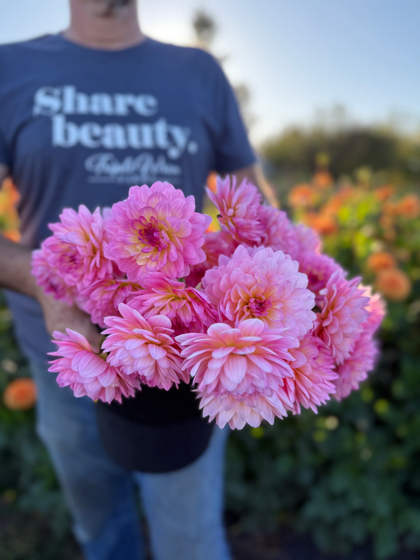Ruthie G Dahlia Tuber