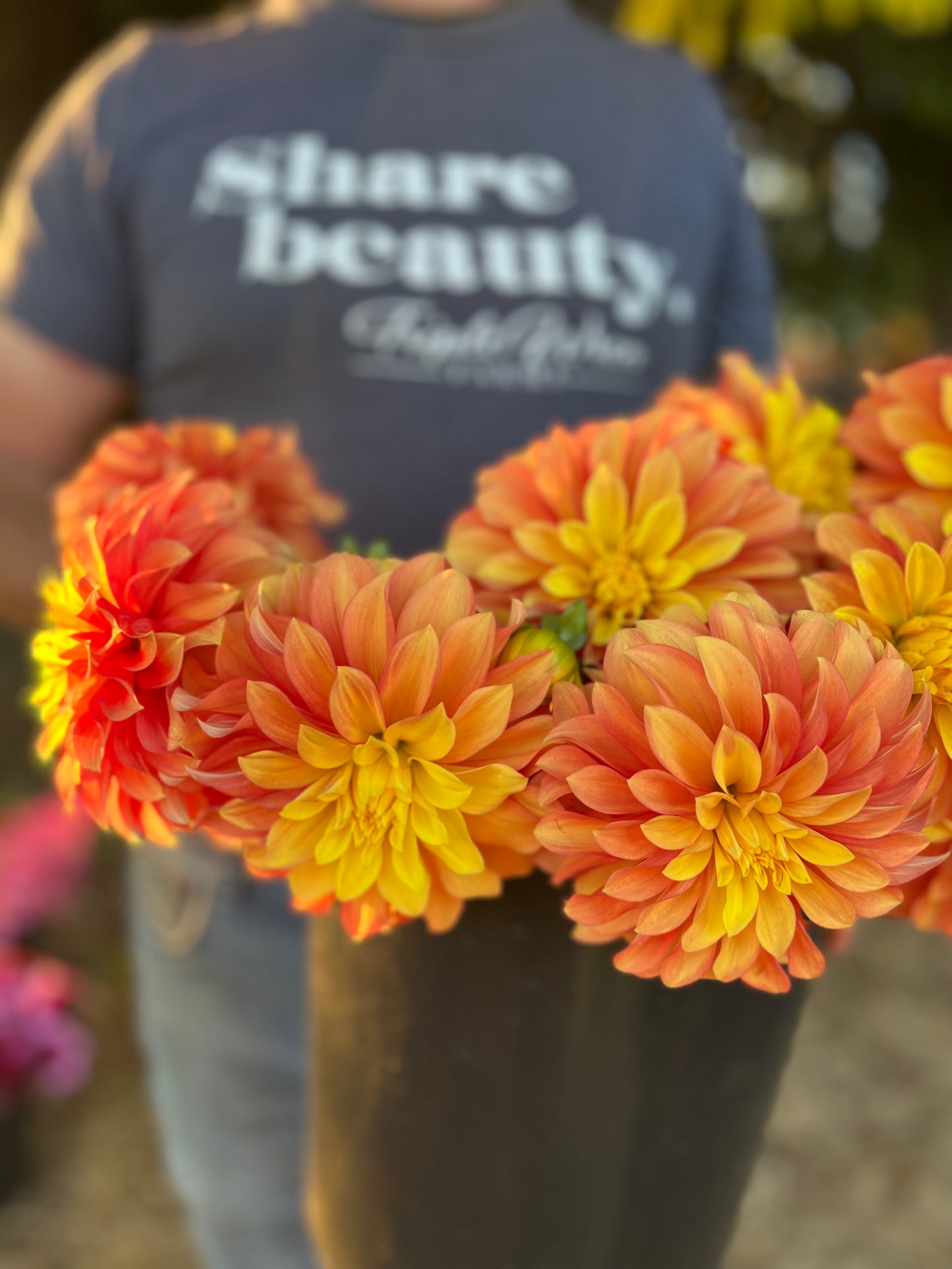 Salish Glory Be Dahlia Tuber