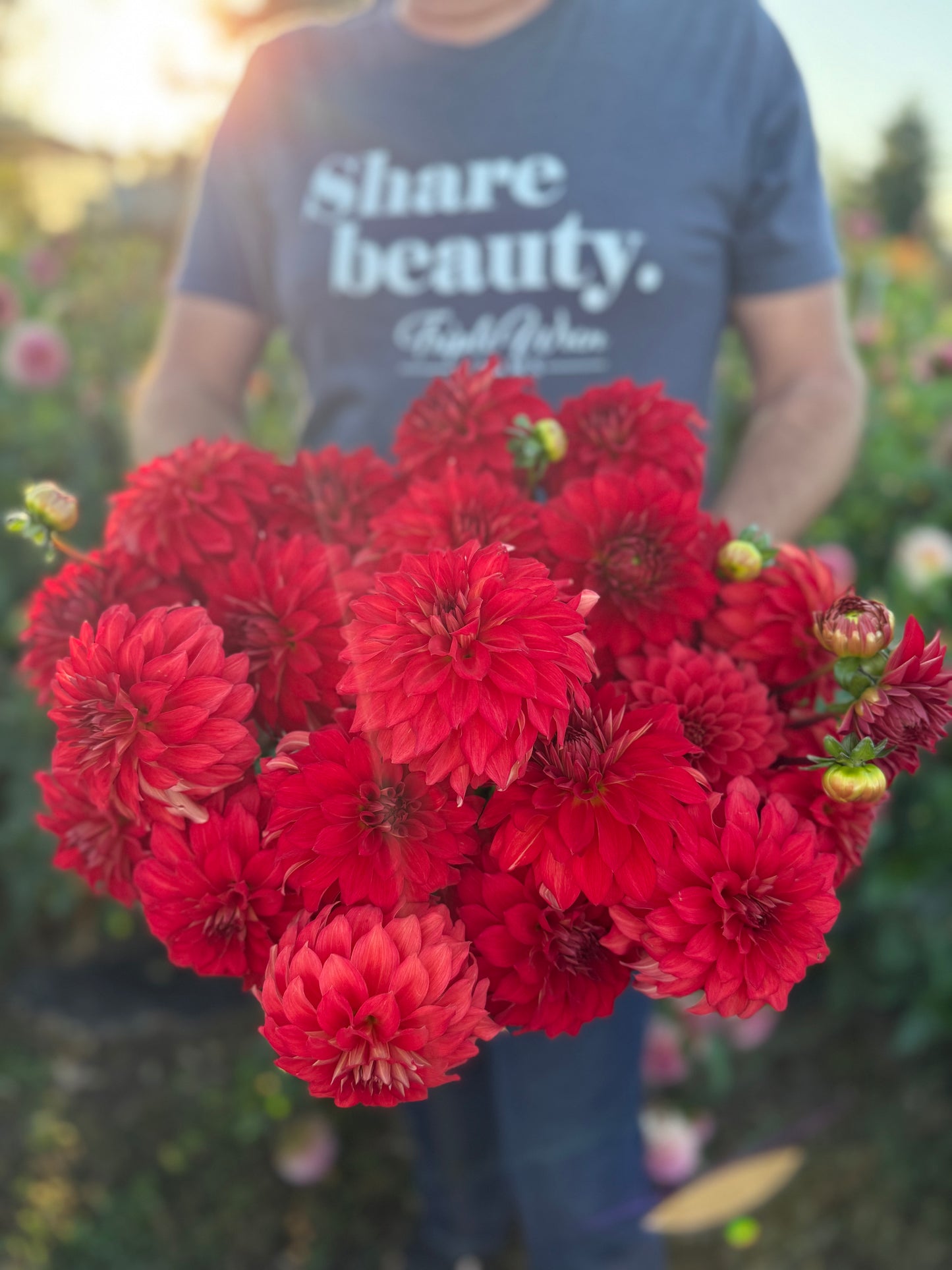 Salish River Sundown Dahlia Tuber
