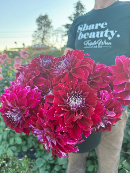 A person in a garden holding a large bouquet of vibrant magenta-pink dahlia flowers. The person is wearing a dark green t-shirt with the text 'Share beauty.