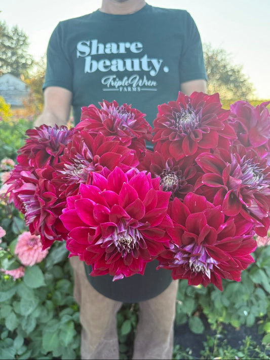 A person outdoors in a garden wearing a dark green t-shirt with 'Share beauty. KipleWin Farms' printed on the front, holding a large bouquet of vibrant magenta and deep red dahlias.
