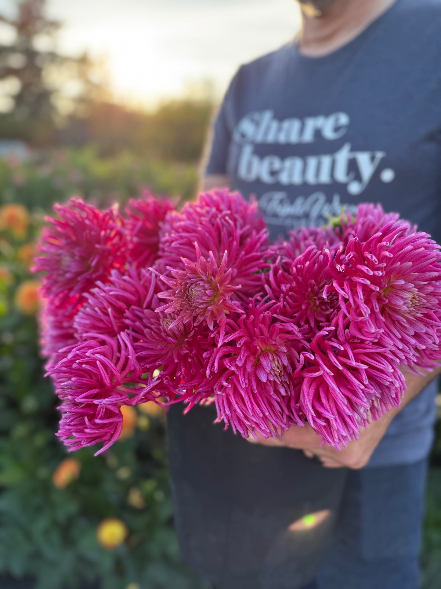 Salish Winds Dahlia Tuber