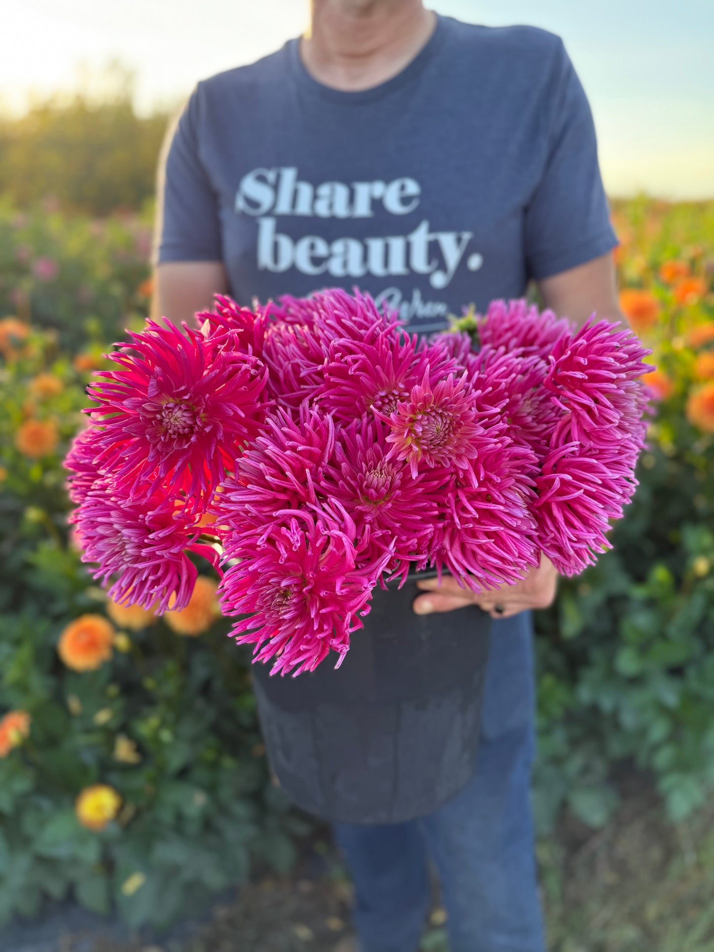 Salish Winds Dahlia Tuber