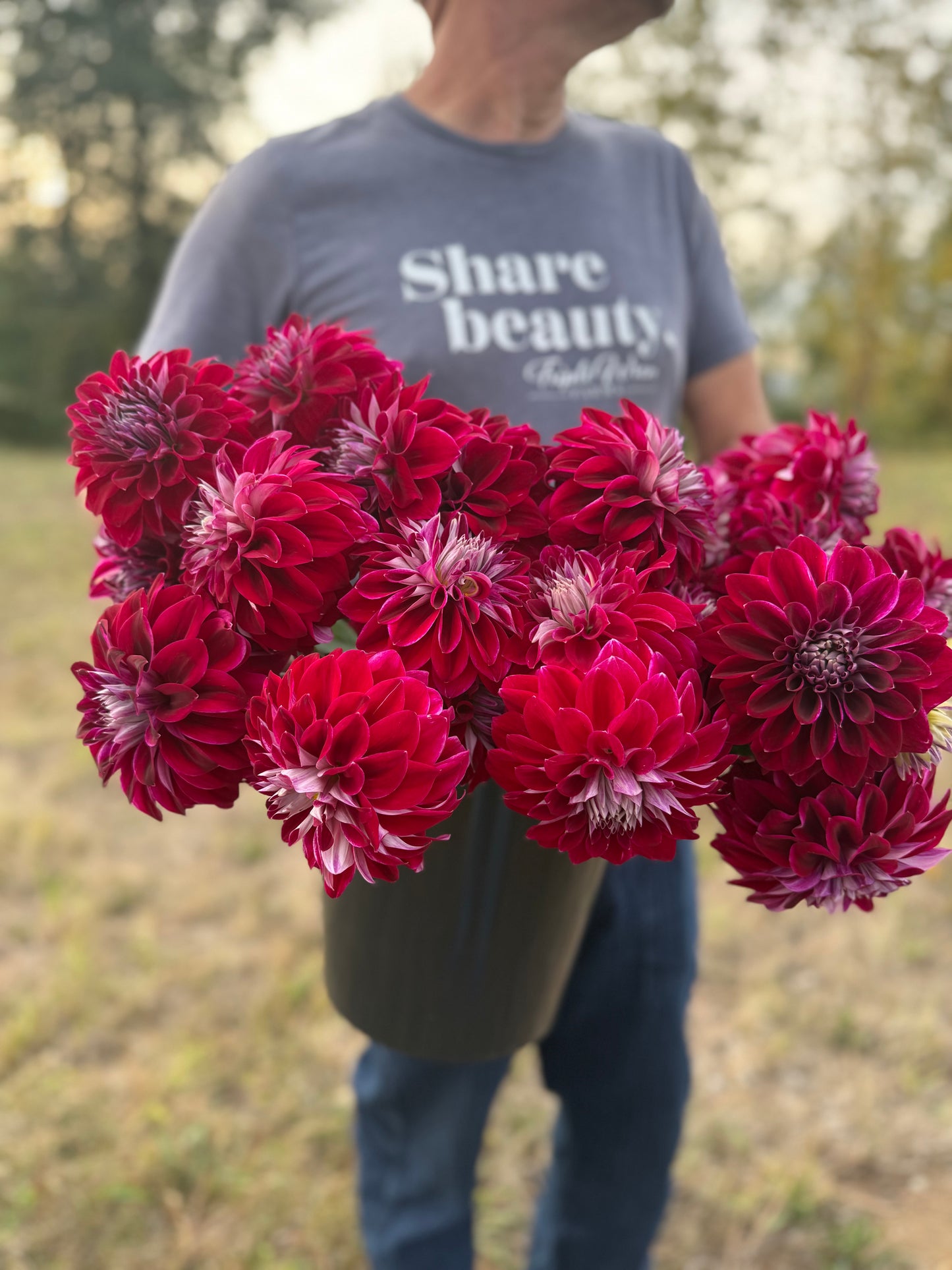 A person outdoors holding a large bucket filled with vibrant deep pink and red dahlia flowers. The person is wearing a gray t-shirt with the text 'Share beauty, Triple Wren Farms' and blue jeans.
