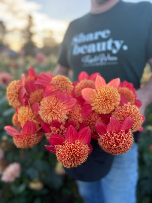 Sandia Bill J Dahlia Tuber