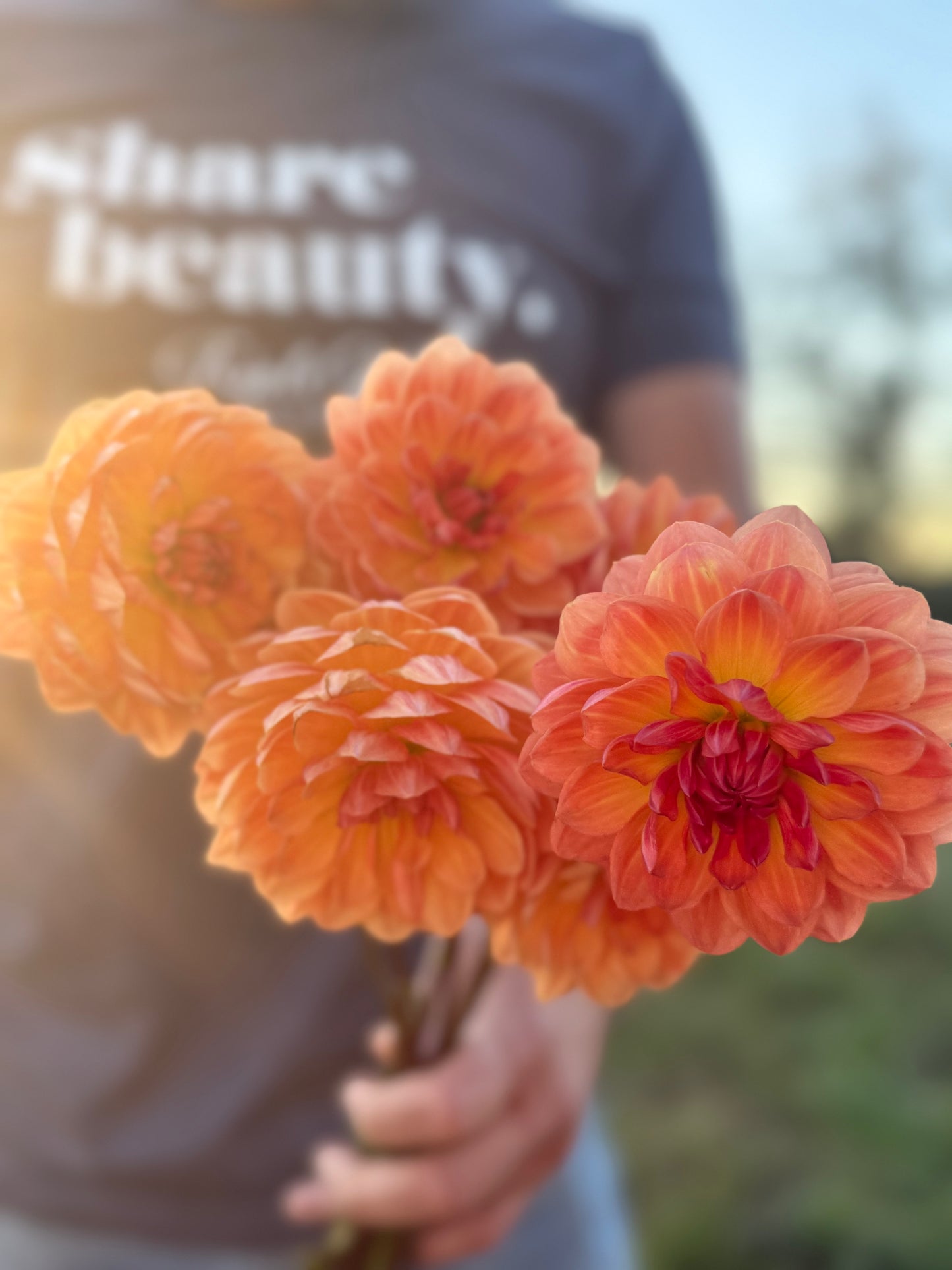 Sandia Marmalade Dahlia Tuber