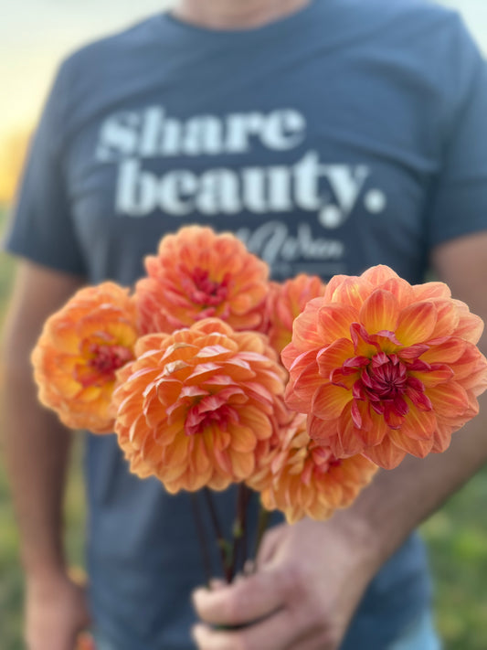 Sandia Marmalade Dahlia Tuber