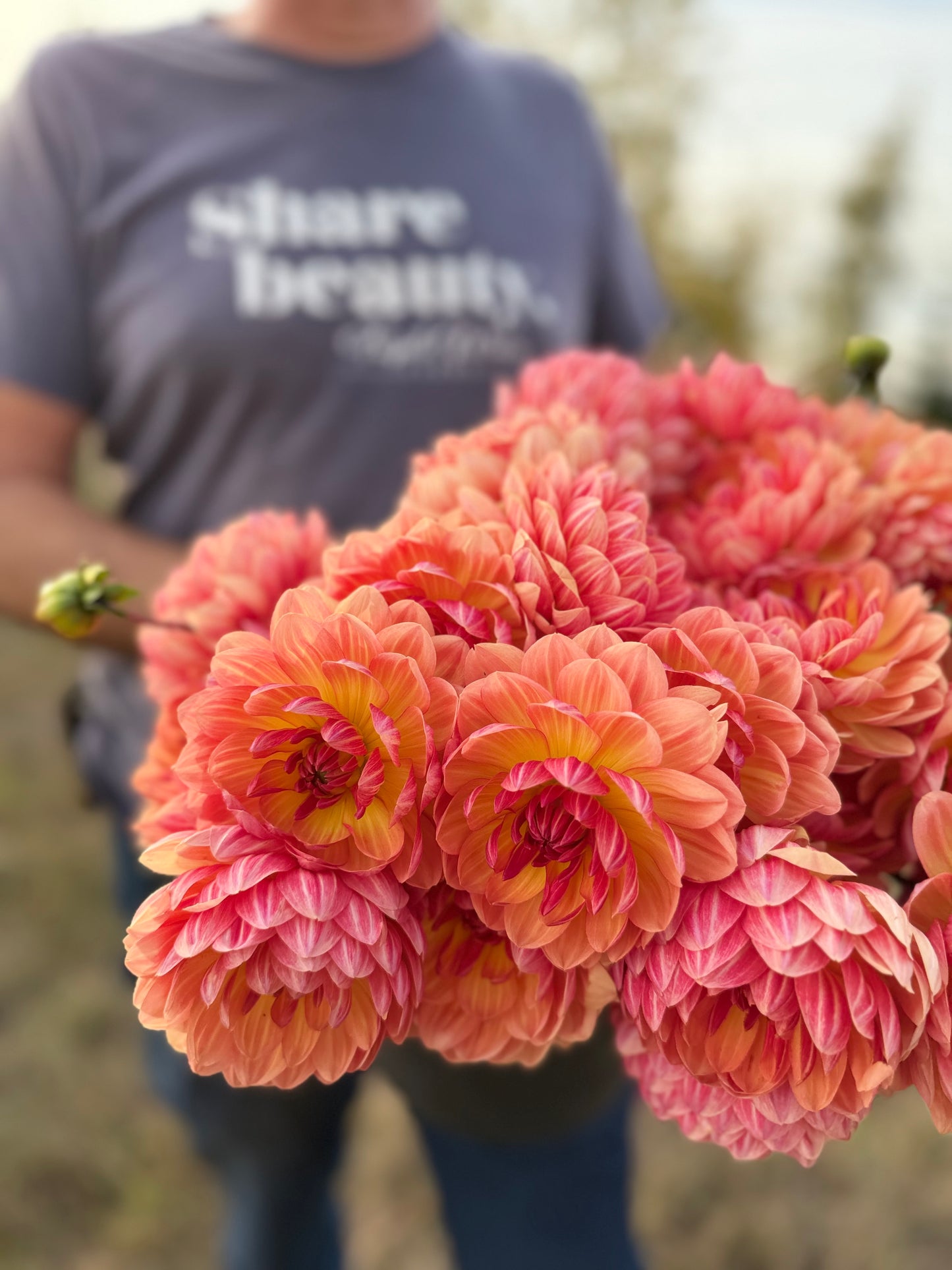 A close-up of a bouquet of vibrant pink and orange dahlia flowers in the foreground, with a person wearing a gray t-shirt that reads 'share beauty' blurred in the background.