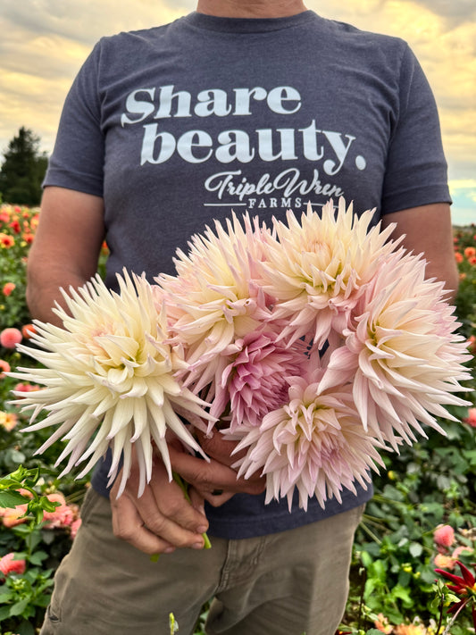 Sandia Stargazer Dahlia