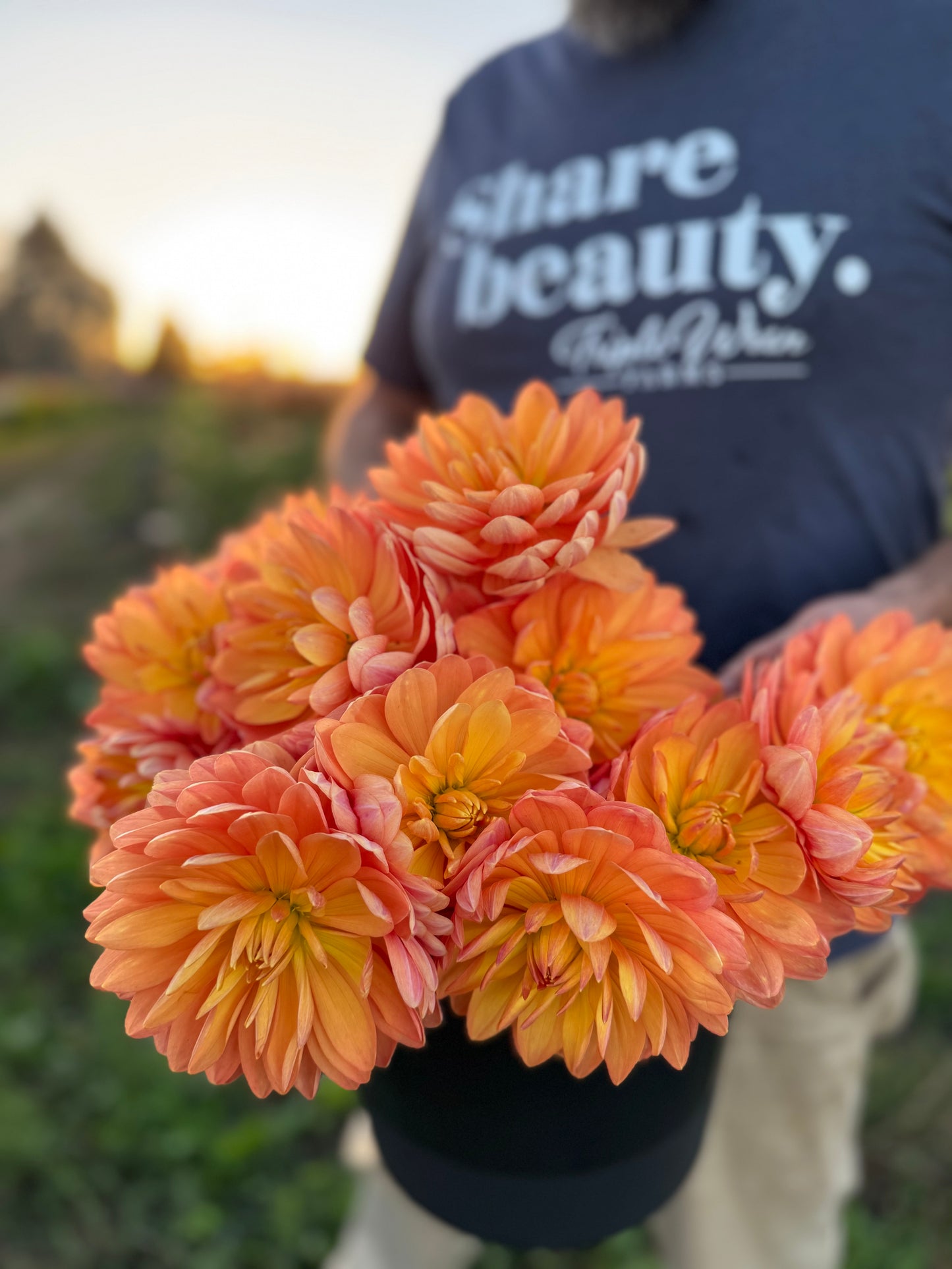 Sandia Susan Waterlily Dahlia from Triple Wren Farms