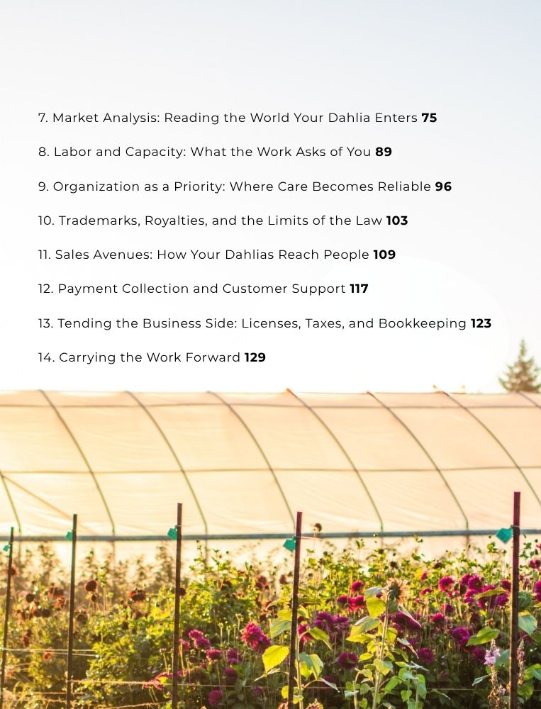 Coming September: Seedling to Market: A Guide for New Dahlia Creators (eBook)