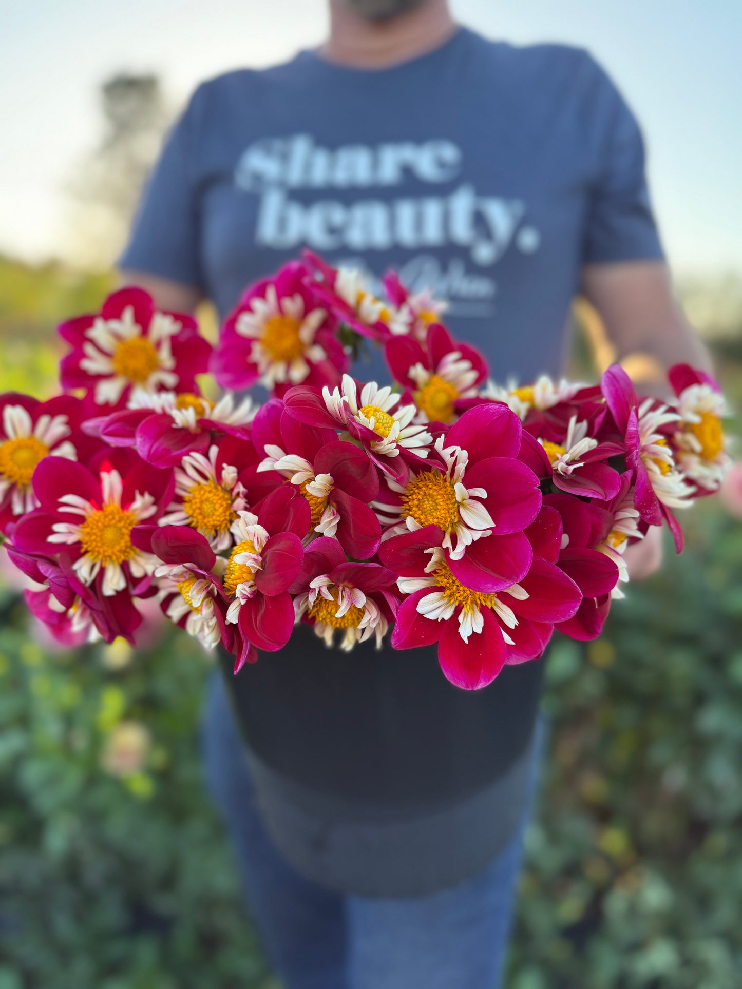 A person outdoors holding a large bouquet of vibrant magenta-pink and white daisy-like flowers with yellow centers. The person is wearing a navy blue t-shirt with the text 'share beauty.