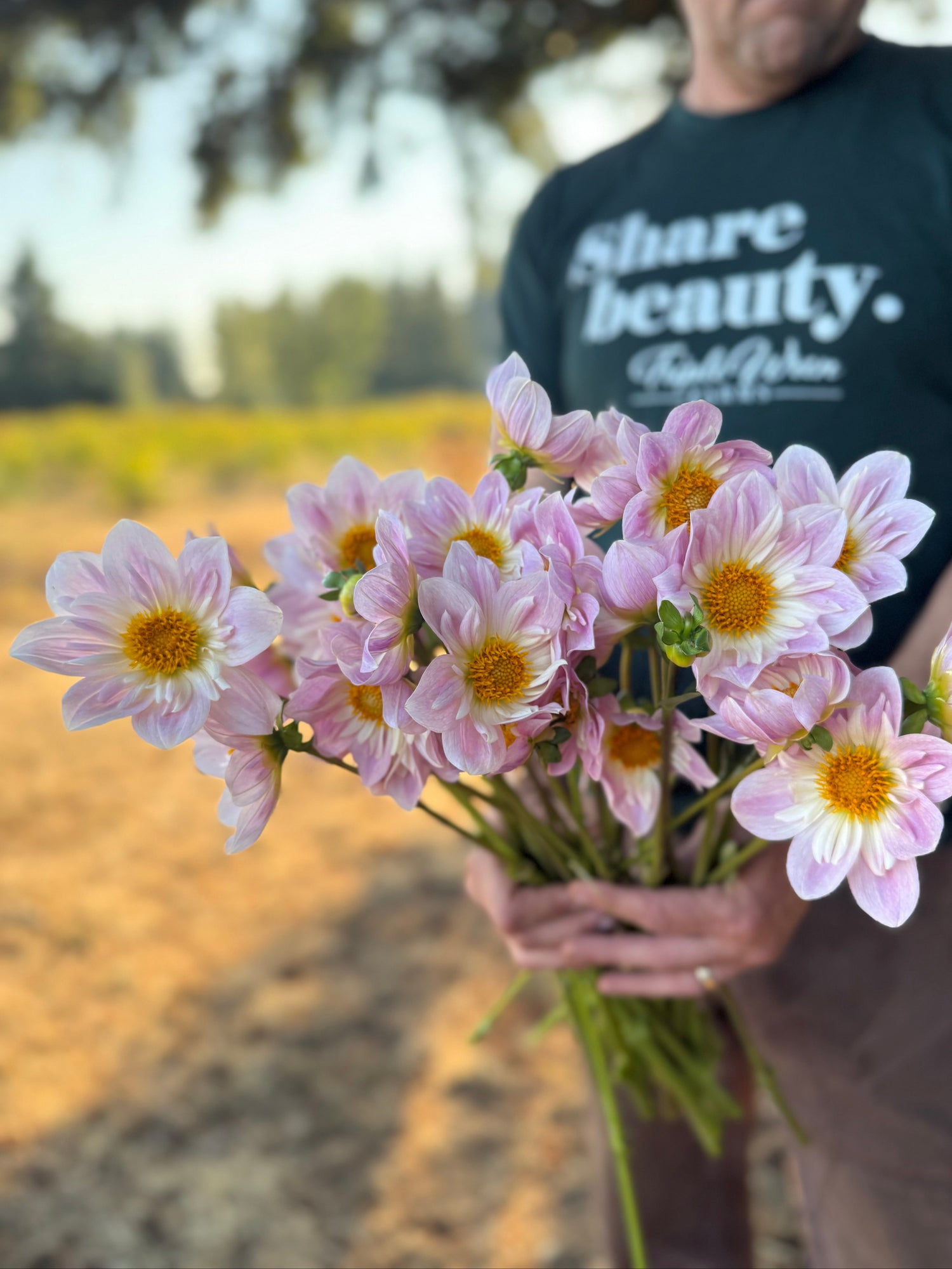 A person outdoors holding a bouquet of light pink dahlia flowers with yellow centers. The person is wearing a dark green t-shirt with the text 'share beauty.