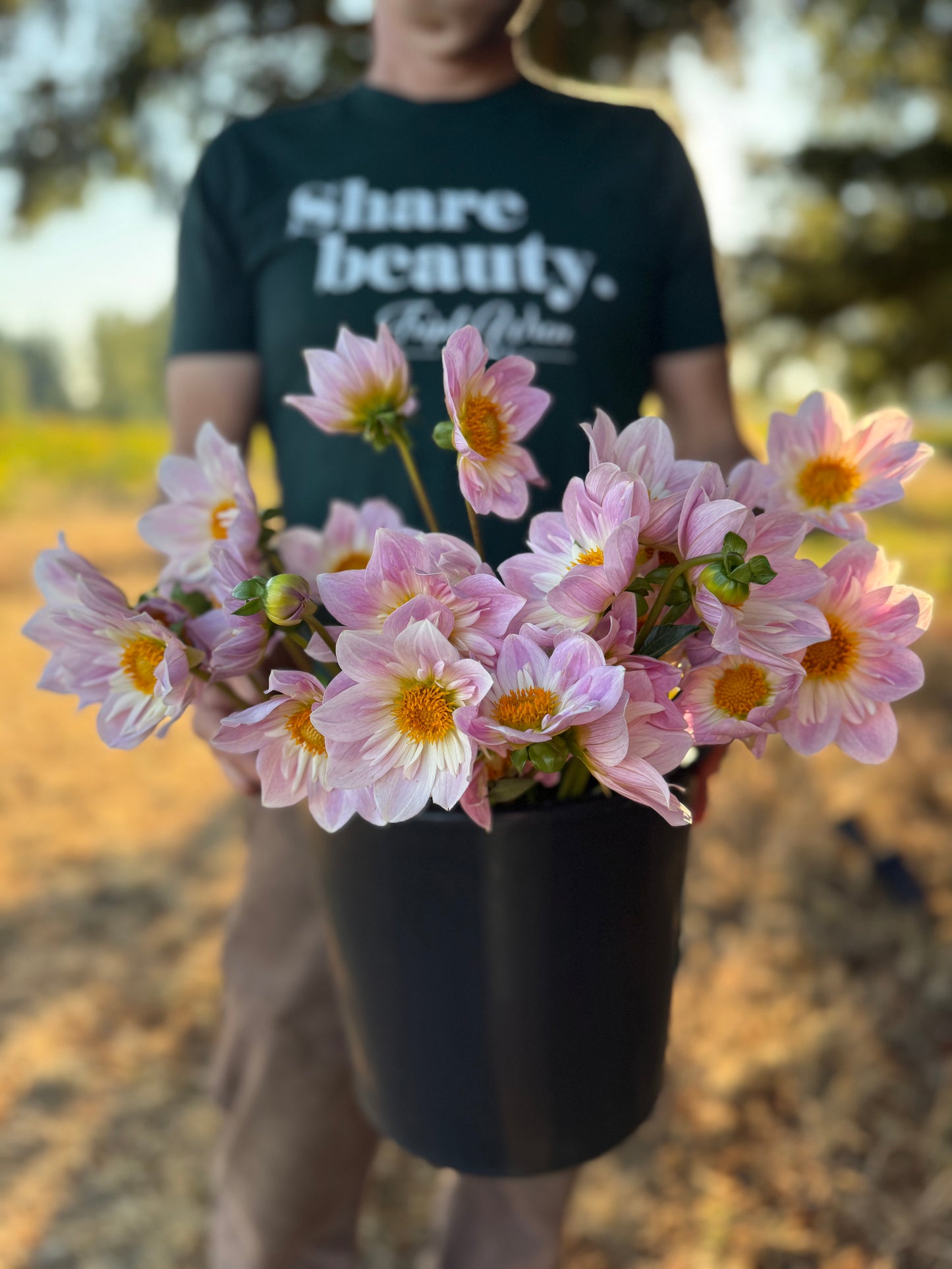 Viva's Pixie Dust Dahlia Tuber