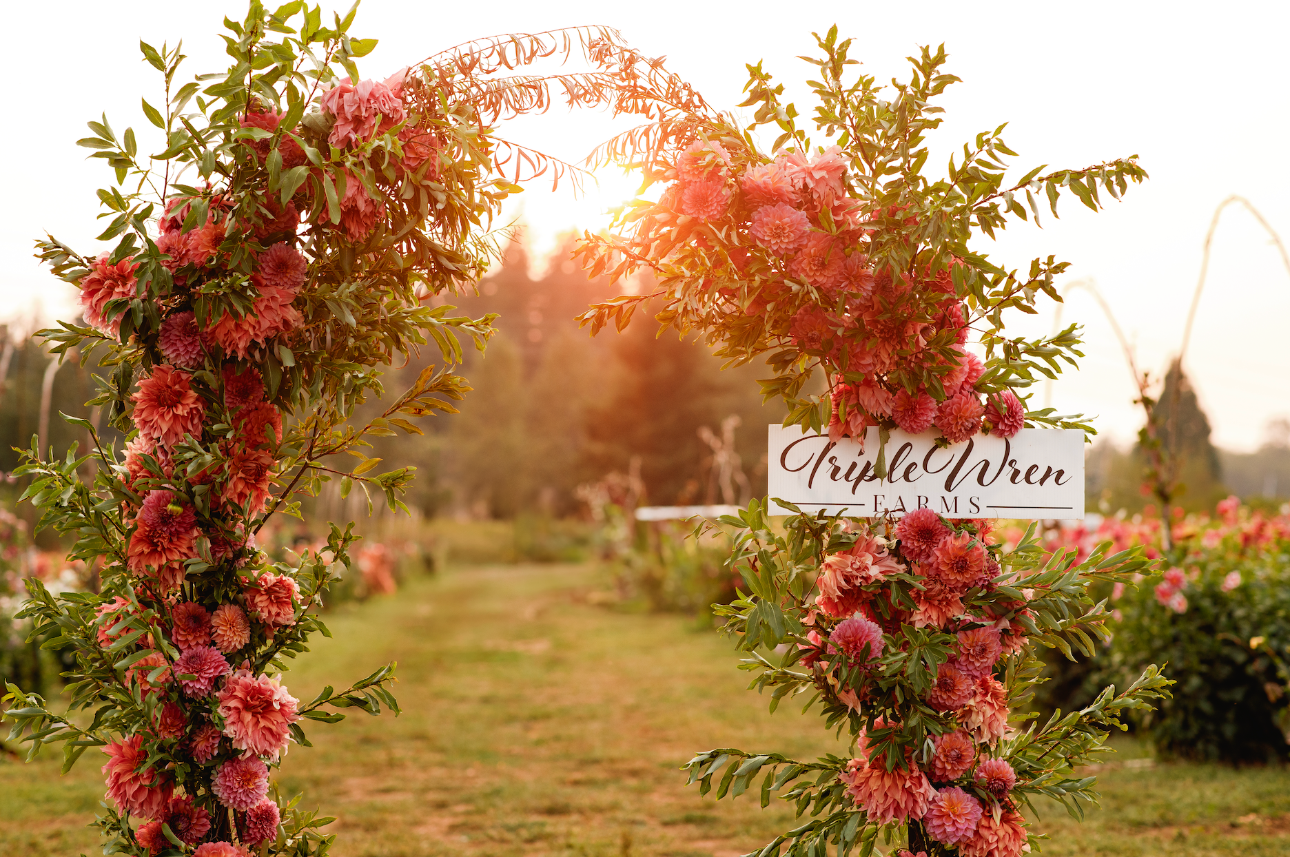 Admission to Dahlia Festival 2026 – Triple Wren Farms