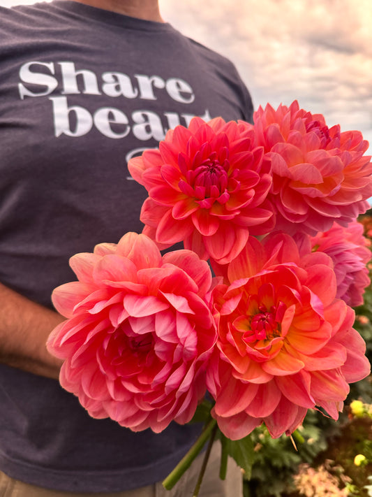 Wildwood Marie Dahlia Tubers